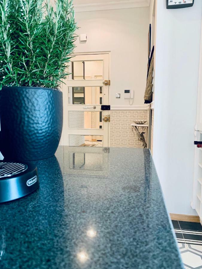 ניס Villa Bagatelle - Luxury Apartment מראה חיצוני תמונה